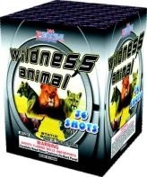 36 shots cake fireworks wildness animal
